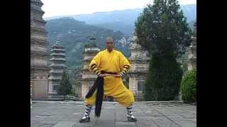 少林立勢八段錦 Shaolin Standing Eight Section Silk Brocade [upl. by Faus]