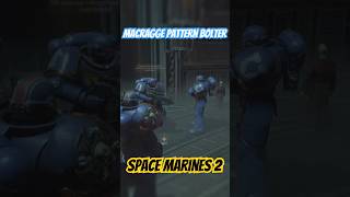 Which bolter is best spacemarine warhammer40k youtubeshorts war [upl. by Collette]