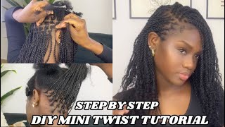 Mini Twist Tutorial With Extenstions  STEP BY STEP INSTALLATION FOR BEGINNERS Ft Ywigs Hair [upl. by Roderick636]