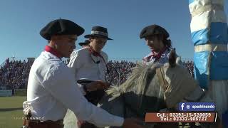 APADRINANDO N°281 16° Festival Nacional del Calden  NUEVA GALIA SL [upl. by Malcah]