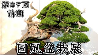 【盆栽】第97回 国風盆栽展 前期【Bonsai】The 97th Kokufu Bonsai Exhibition 2023 Part 1 [upl. by Saltzman]