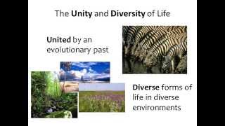 BI177 Chapter 1 An Introduction to Biology  Part 2 of 3 [upl. by Ahsaet]