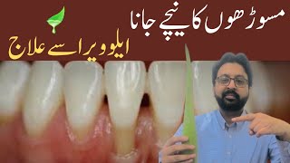 How to Use ALOE VERA for Gum Recession [upl. by Graham]