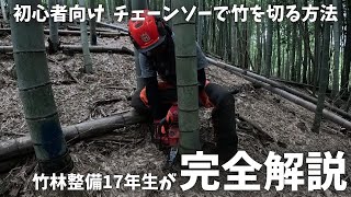 チェーンソーで竹を切る方法を解説【初心者向け】【永久保存版】 [upl. by Dyana]