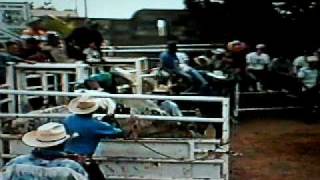 Bull riding Bo Crotta [upl. by Jean]