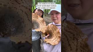 Massive edible mushrooms [upl. by Anaerol]