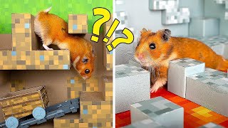 Un increíble Laberinto Mineсraft para tu hámster 🐹❤️ [upl. by Ronoh]