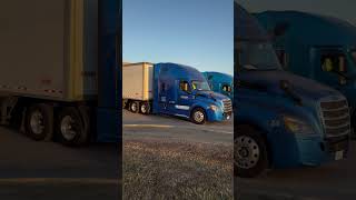 freightliner cascadia californiausa usa canada viralvideo pb08wale 🇺🇸✈️🇨🇦 [upl. by Leakcim342]