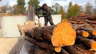 A Full Day at the Sawmill From Logs to Chips – No Cuts No Filters [upl. by Eutnoj]