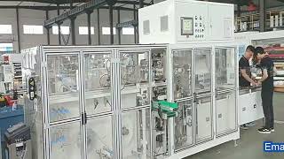 Sanitary pads packing machine [upl. by Ivey]