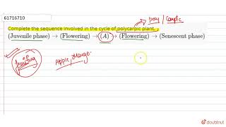 Complete the sequence involved in the cycle of polycarpic plant \quotJuvenile phase\quotto\quotFlowering [upl. by Salba]