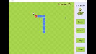 TT Snake  A Game project using Java Swing amp Intellij Idea [upl. by Marius]