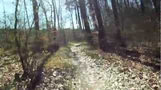 Mountain Bike Single Trail in Schweinfurt [upl. by Dlnaod]