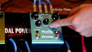 Strymon blueSky Reverb  Infinite Plate [upl. by Streeter]