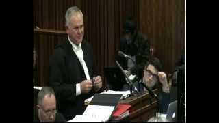 The state presents closing arguments in Pistorius case Session 2 [upl. by Wasserman]