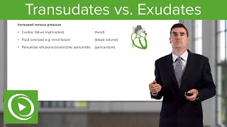 Transudates vs Exudates – Pleural Disease  Lecturio [upl. by Burnard]