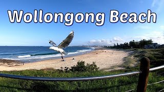 Walking Around Wollongong Beach  Beautiful Wollongong City Beach  Wollongong NSW Australia [upl. by Nylcoj]