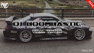 DJ boombastic shaggy  viral tiktok 2024 [upl. by Dopp]