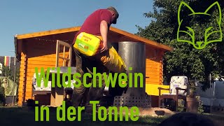 Wildschwein in der Tonne  Das Tonnenbutzje [upl. by Elden]