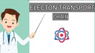 Electron transport chain or ETC Biochemistry  Tamil made easy [upl. by Notlrac]