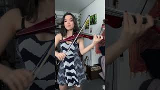 Flogging Molly on electric violin [upl. by Asquith]