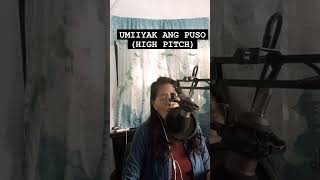 UMIIYAK ANG PUSO yutubeshorts yutubers musician musiclover [upl. by Dann]