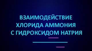 Взаимодействие хлорида аммония с гидроксидом натрия  ЕГЭ по химии [upl. by Fabron707]