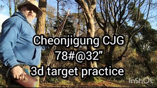 Cheonjigung CJG 천지궁 KTB Korean bow 3d shooting practice [upl. by Nwahsat]