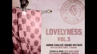 10 Baby Girl  Morodo feat King Peter mixtape  Lovelyness vol5 [upl. by Yks]