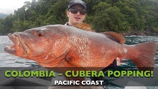 COLOMBIA  CUBERA SNAPPER  POPPING  PACIFIC [upl. by Publea]