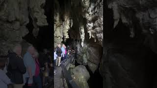 Glow Worm Cave New Zealand [upl. by Analrahc8]