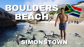 Boulders Beach Escape to Cape Towns Penguin Paradise🐧 [upl. by Friday]