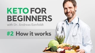 A keto diet for beginners part 2 how it works [upl. by Dde309]