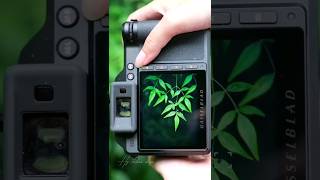 Hasselblad X2D 100C Camera amp Hasselblad XCD 25mm f25 V Lens photography  4k Ultra [upl. by Oys]