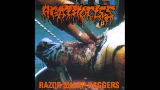 Agathocles  Razor Sharp Daggers 1995 Full Album HQ Mincecore [upl. by Kcirdek748]