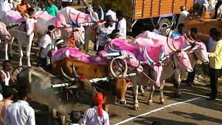 Kudubandi Bullock cart race Chittaragi [upl. by Bucky588]