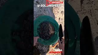 💰Panning Lessons For Gold Prospector goldpanning goldrush [upl. by Ennailuj236]