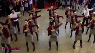 Airlink Flash Mob [upl. by Chill]