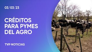 Créditos para Pymes del agro por la sequía [upl. by Garibold]