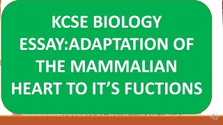 KCSE ESSAYEXPLAIN HOW A MAMMALIAN HEART IS ADAPTED TO ITS FUNCTIONS [upl. by Wojak8]