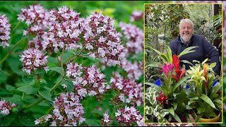 ORIGAN ET MARJOLAINE PLANTES AROMATIQUES AUX SUBTILES SAVEURS D’ITALIE Le Quotidien du Jardin N°324 [upl. by Cirde535]