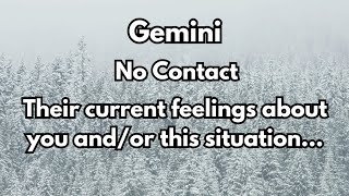 Gemini Love Tarot  No Contact  Their current feelings about you [upl. by Quent]