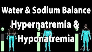 Water and Sodium Balance Hypernatremia and Hyponatremia Animation [upl. by Eitsyrhc]