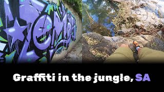 Graffiti in the jungle [upl. by Ahseal218]