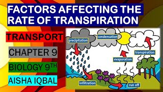 Factors Affecting Rate of Transpiration [upl. by Shlomo]