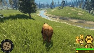 Cougars hunting  Yellowstone Unleashed  Roblox [upl. by Atneuqal]