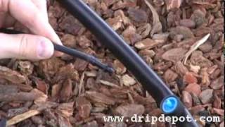 Drip Irrigation Systems How to install Pressure Compensating Button Drippers [upl. by Goldfinch]