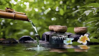 Relaxing Sleep Music 🌿 Calm Sleeping Music Soothing Music Stress Relief and Meditation Sounds [upl. by Dilaw78]