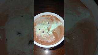 Hot coco and Chocolate chip mint ice cream🍦☕️😋 love song viralvideo lyrics yummyfood [upl. by Annaor]