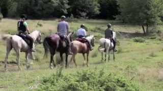 Vacanza a cavallo in Transilvania  Romania [upl. by Anirrok64]